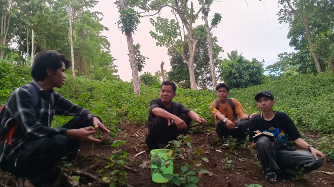 
					Berkah Nilam , ditengah efisiensi Pemerintah