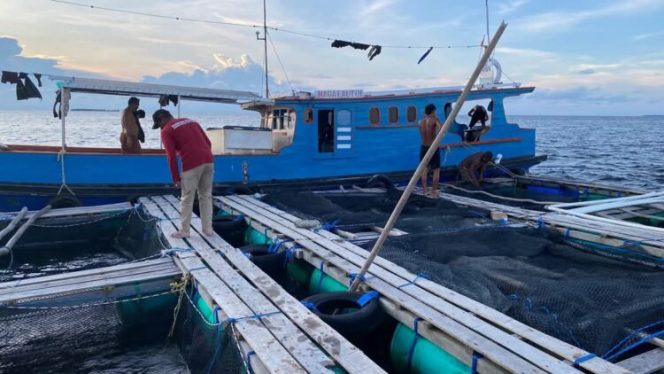 
					DKP Sulbar Lakukan Pendataan Tujuh Pulau Balabalakang untuk Dukung Kawasan Konservasi dan Pemanfaatan Laut Berkelanjutan
