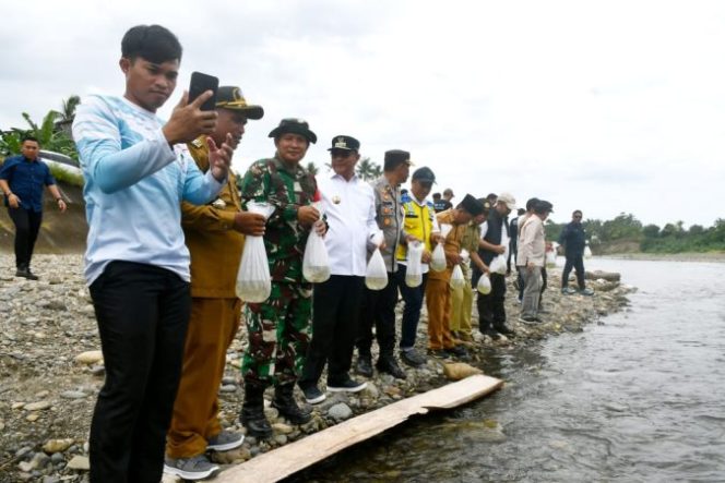
					DKP Sulbar Tebar 30 Ribu Benih Ikan Nila di Bendungan Kalambangan Banua untuk Dukung Swasembada Pangan