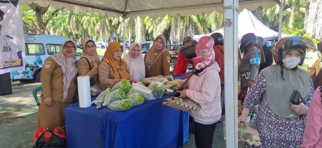 
					Dinas TPHP Menggelar Pasar Murah,  Komoditas Holtikultura menjadi Andalan.