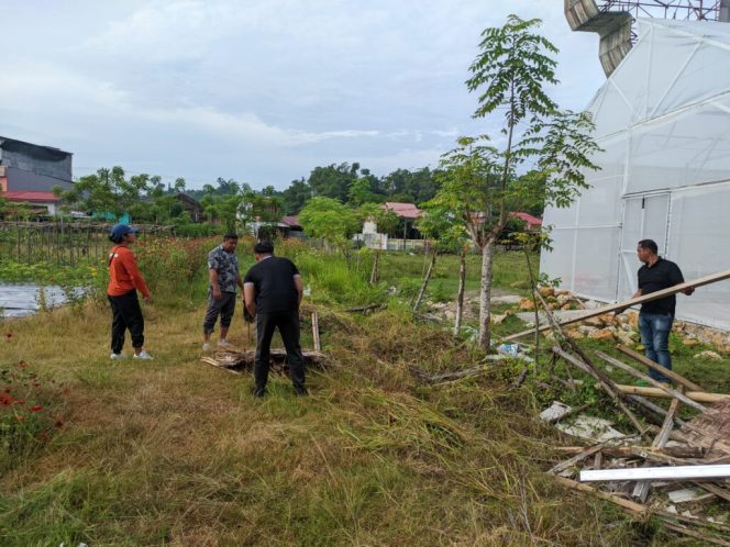 
					ASN dan PTT DTPHP, Kompak Benahi Etalase Anggrek Milik Pemprov Sulbar.