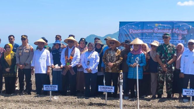 
					Dalam Rangkah mendukung Program Ketahanan Pangan, Pemerihtah Melalukan Penanaman Bawang
