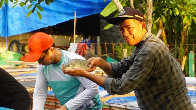 
					Bantuan Bibit Ikan Nila DKP Sulbar, Upaya Nyata Dukung Ekonomi dan Perangi Stunting
