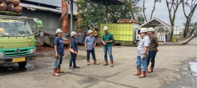 
					Plt. Kadis Perkebunan Sulbar. Pantu Harga dan Pengelolaan TBS Di Pasangkayu